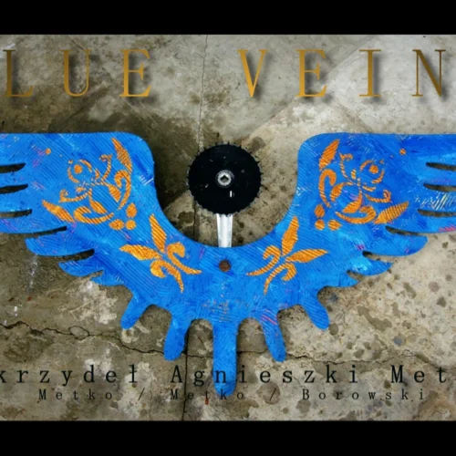 BLUE VEINS - «La infinidad de las alas de Agnieszka Metko».
